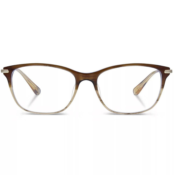 Röst Brown Titanium Glasses (Frames)