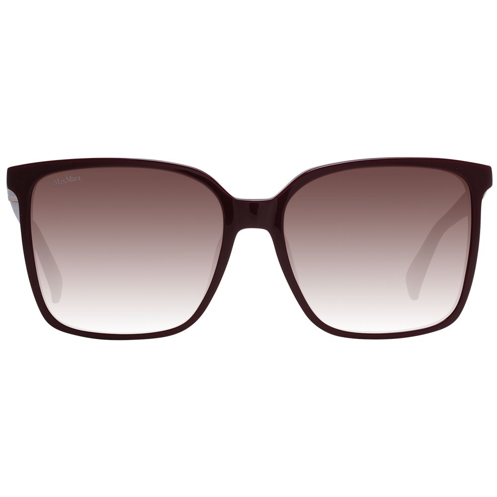 Max Mara Burgundy Plastic Sunglasses