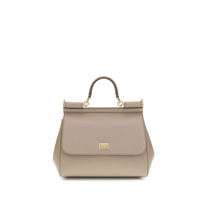 Dolce & Gabbana Gray Calf Leather Bos Taurus Handbag