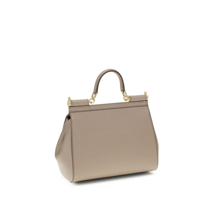 Dolce & Gabbana Gray Calf Leather Bos Taurus Handbag