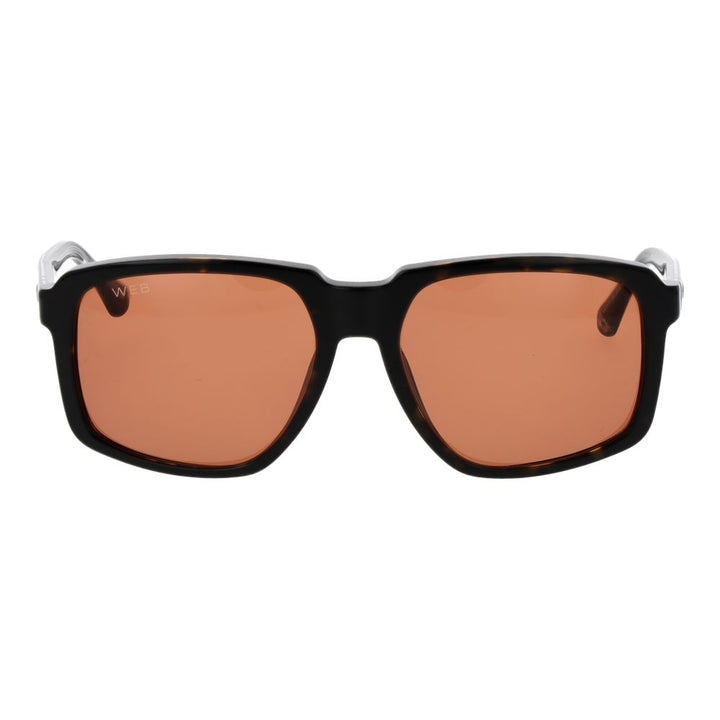 Web Brown Acetate Sunglasses