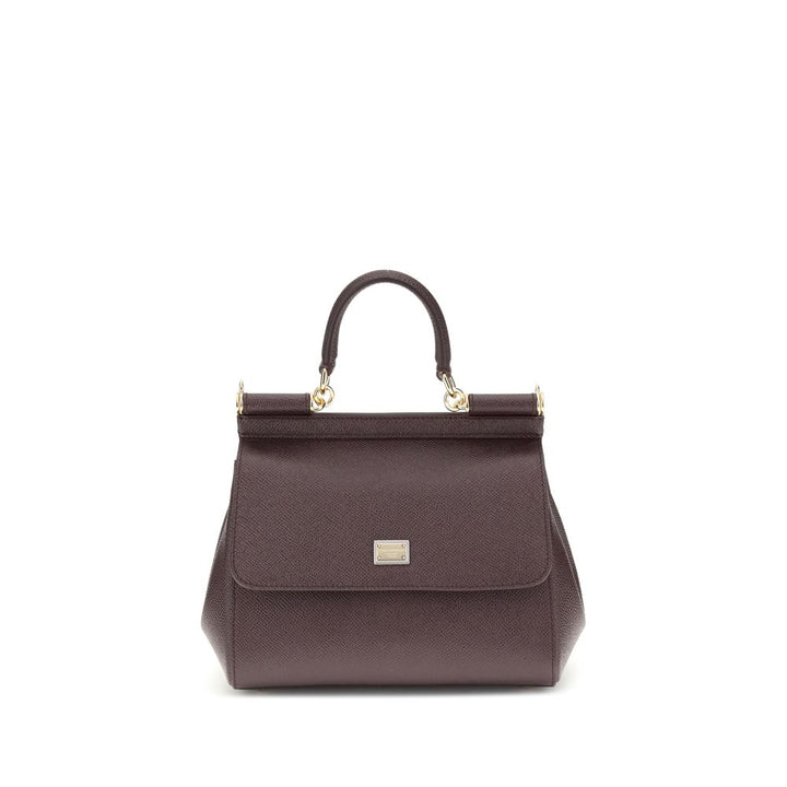 Dolce & Gabbana Brown Calf Leather Bos Taurus Handbag