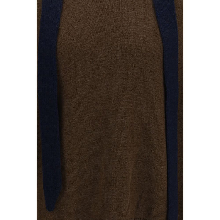 Sacai Brown Wool Oves Aries Sweatshirt