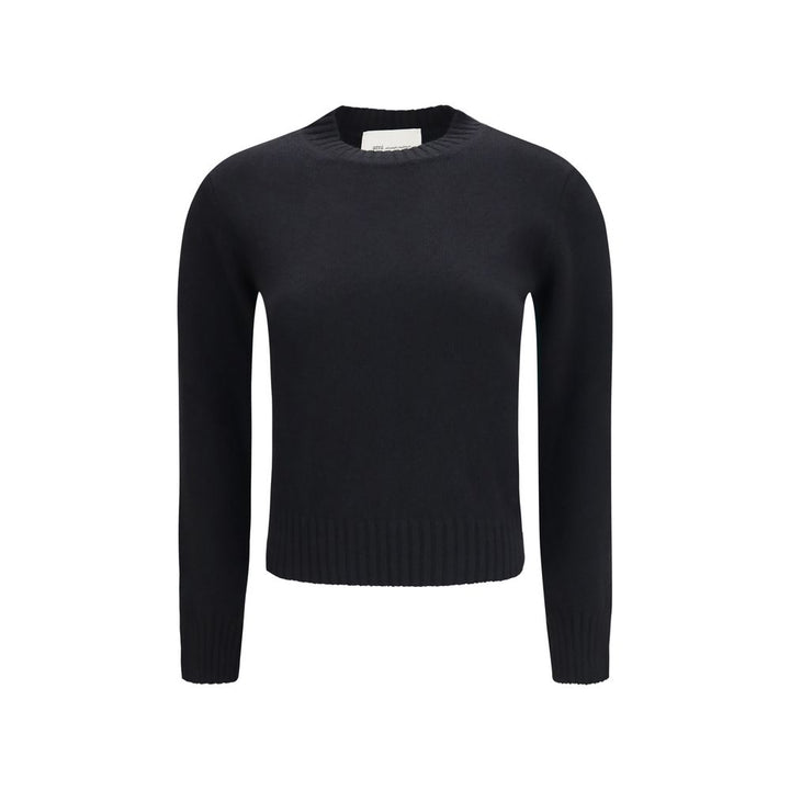 Ami Paris Black Wool Oves Aries Sweatshirt