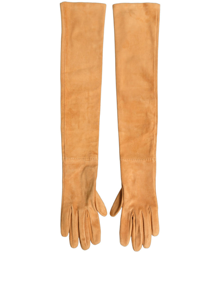 Dolce & Gabbana Tan Genuine Leather Suede Elbow Length Gloves