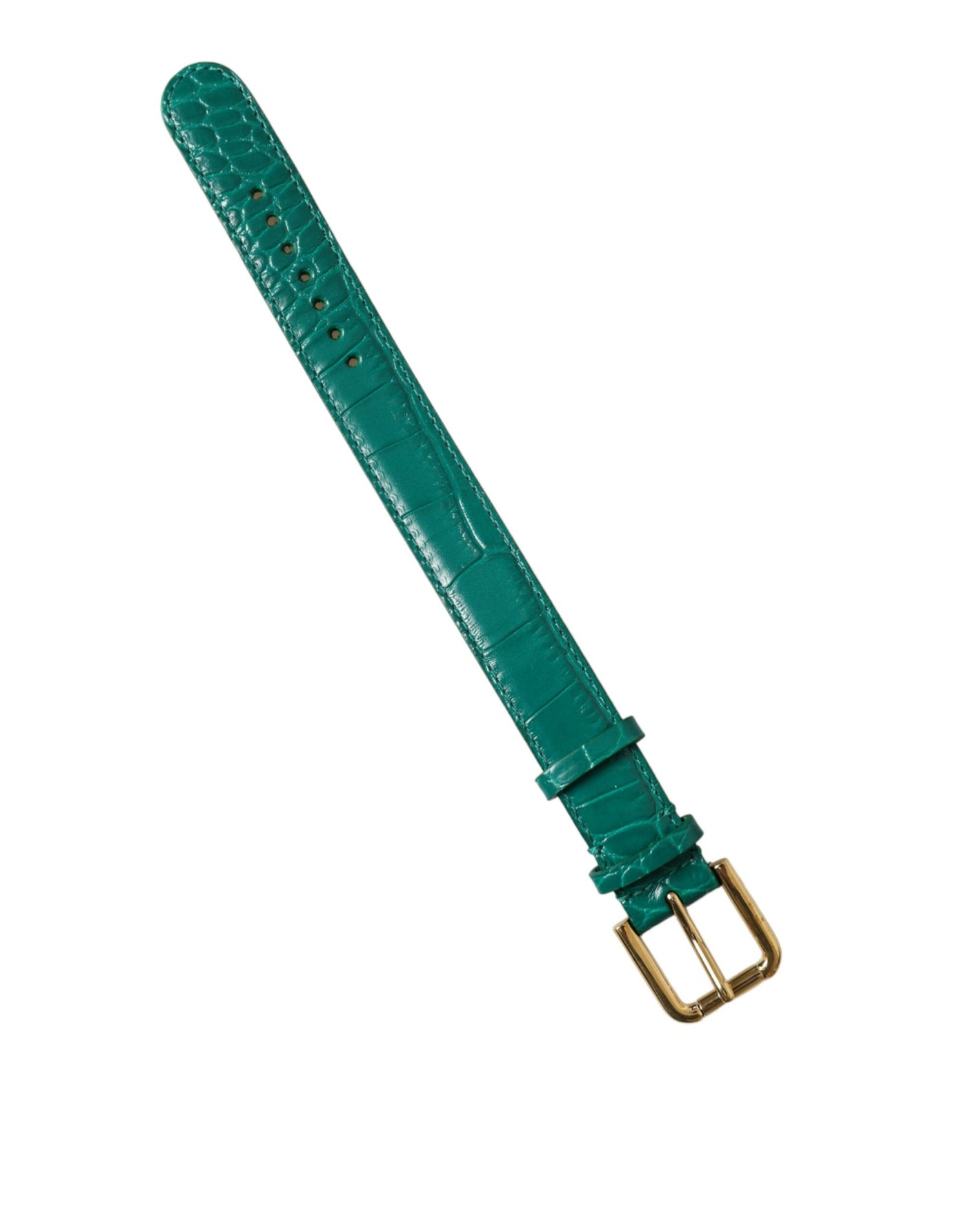 Dolce & Gabbana Green Textured Leather Gold Tone Metal Buckle Neckband