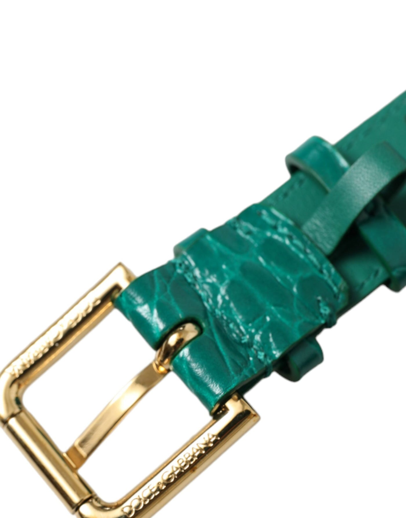 Dolce & Gabbana Green Textured Leather Gold Tone Metal Buckle Neckband