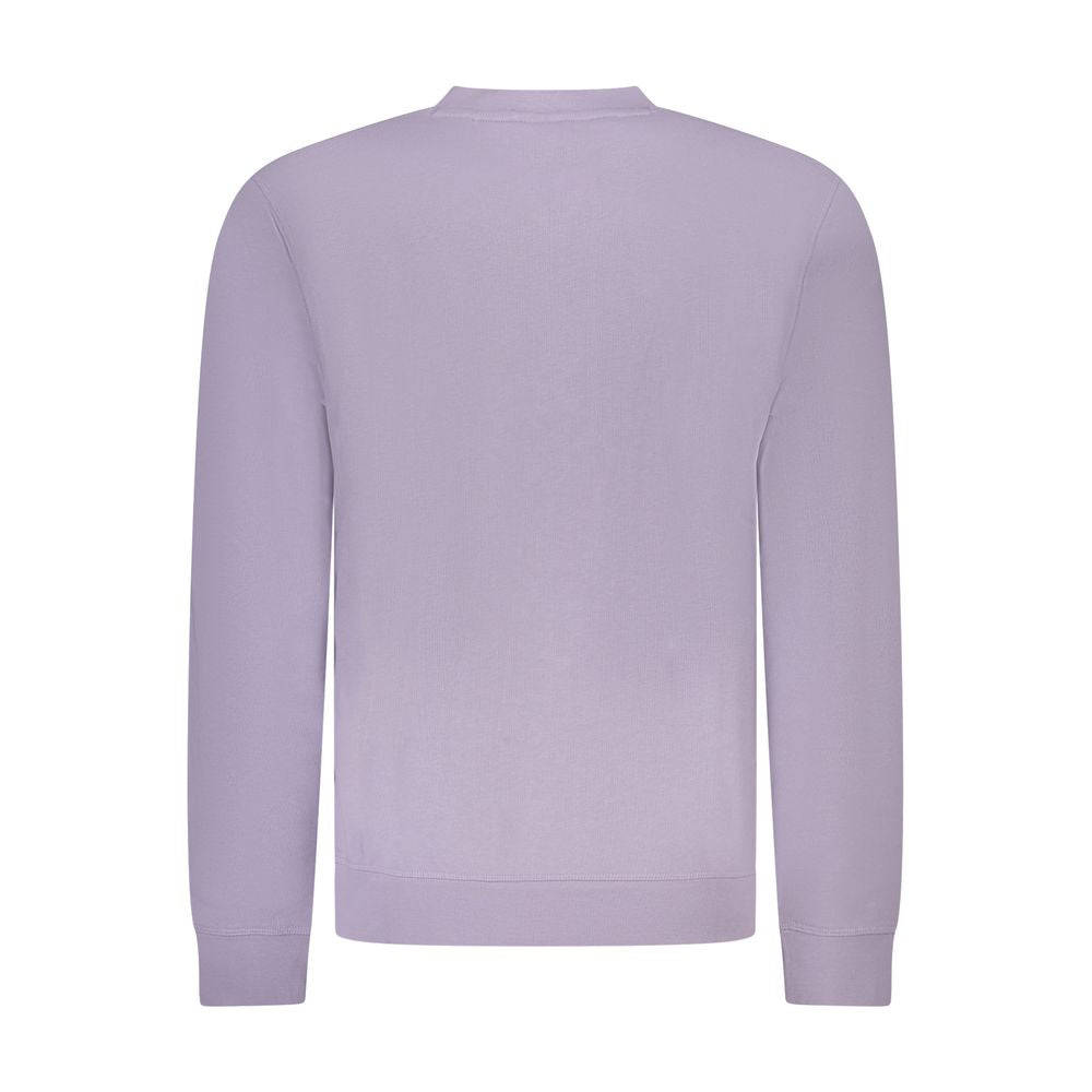 Purple Cotton Sweater