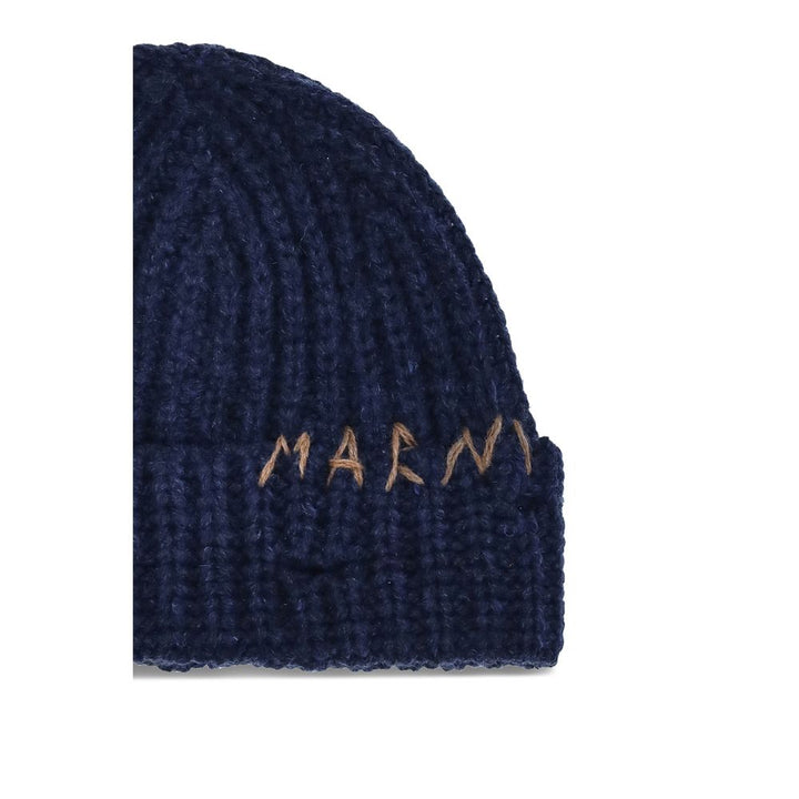 Beanie Hat