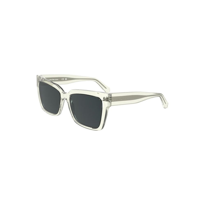 Transparent Plastic Sunglasses