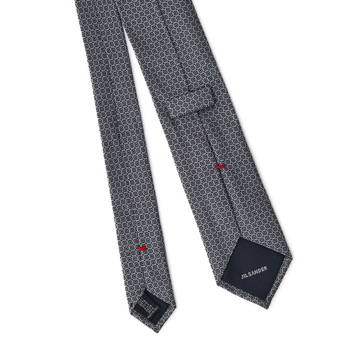 Gray Silk Ties & Bowty