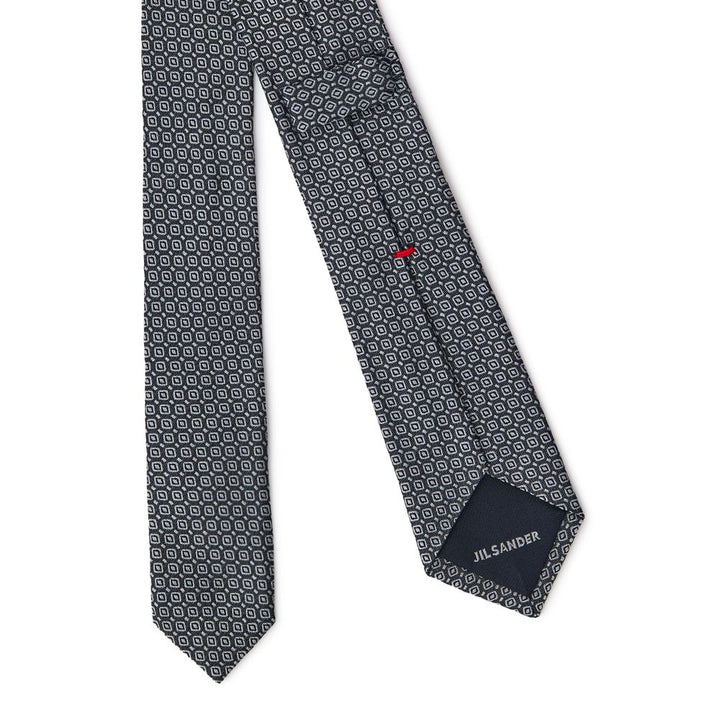 Gray Silk Ties & Bowty