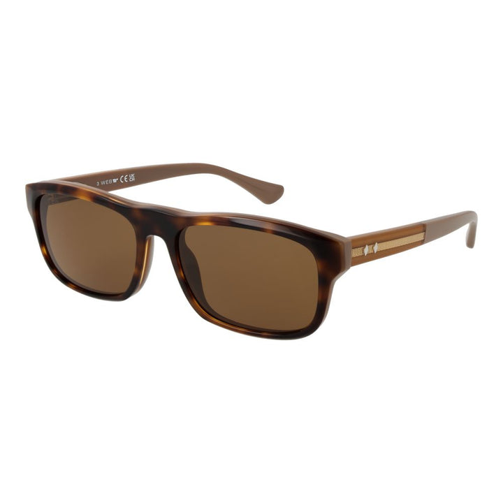 Brown Men Sunglasses
