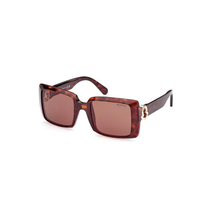 Brown Pantograph Sunglasses