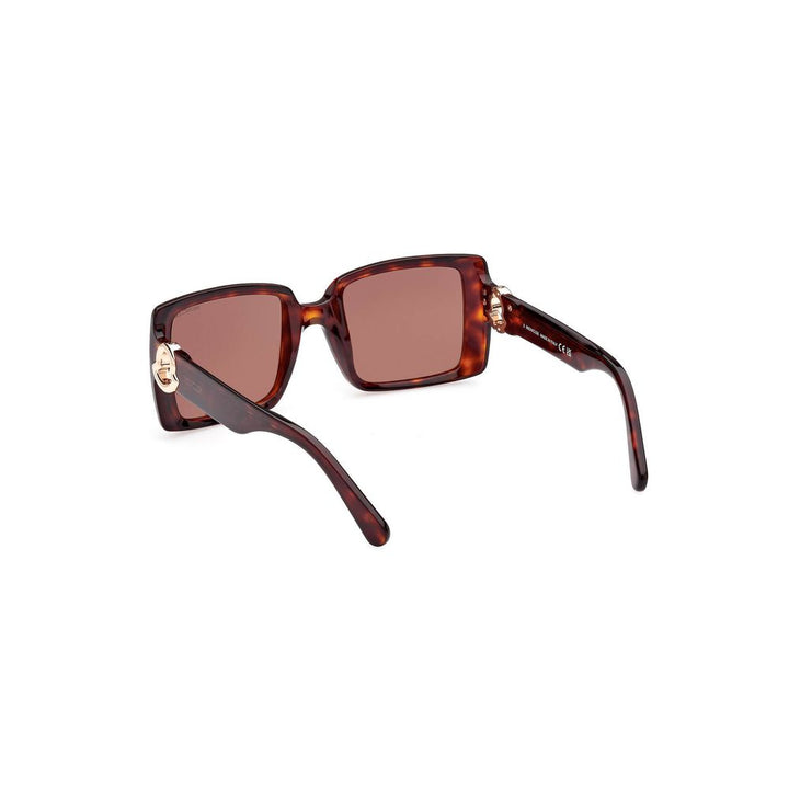 Brown Pantograph Sunglasses