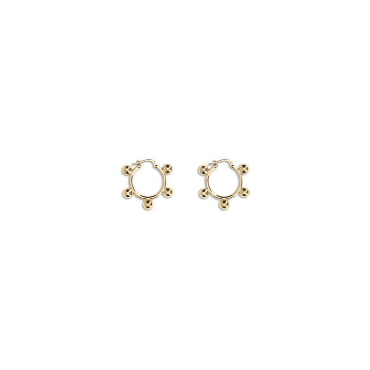 EARRINGS 1338