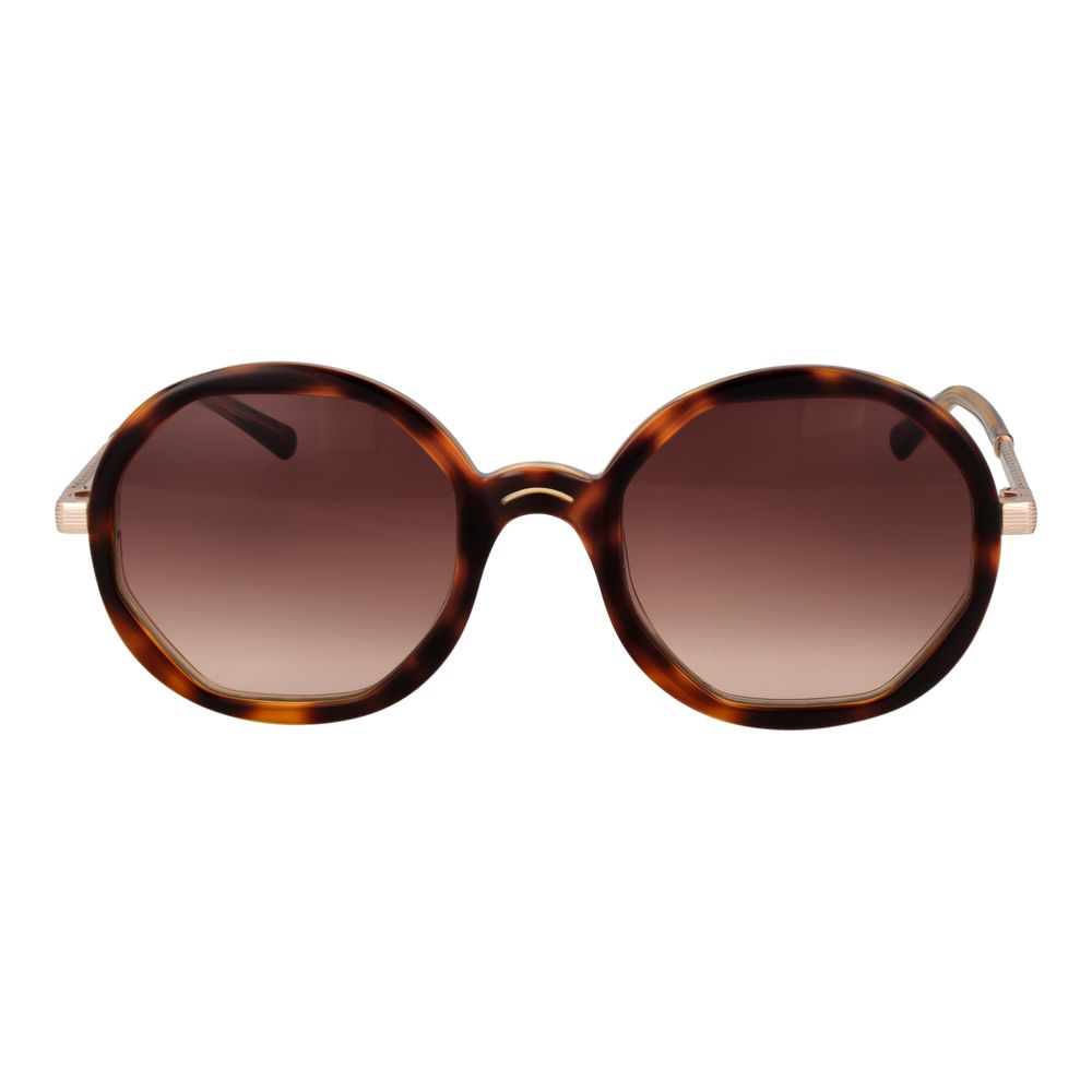 Brown Women Sunglasses