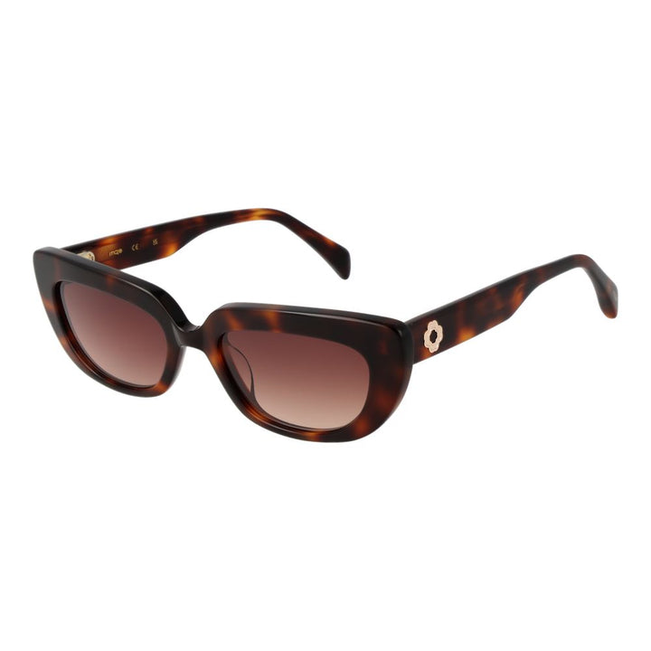 Brown Women Sunglasses