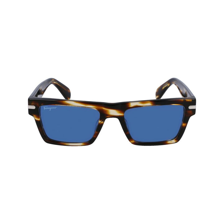 Ferragamo Brown Acetate Sunglasses