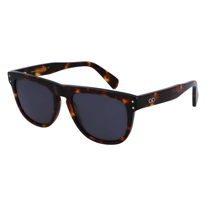 Ferragamo Brown Acetate Sunglasses