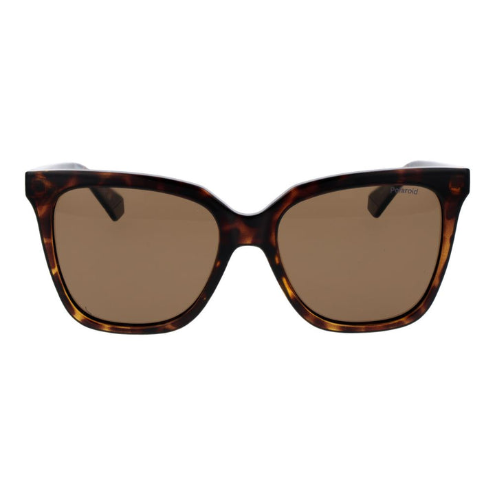 Polaroid Brown Polycarbonate Sunglasses
