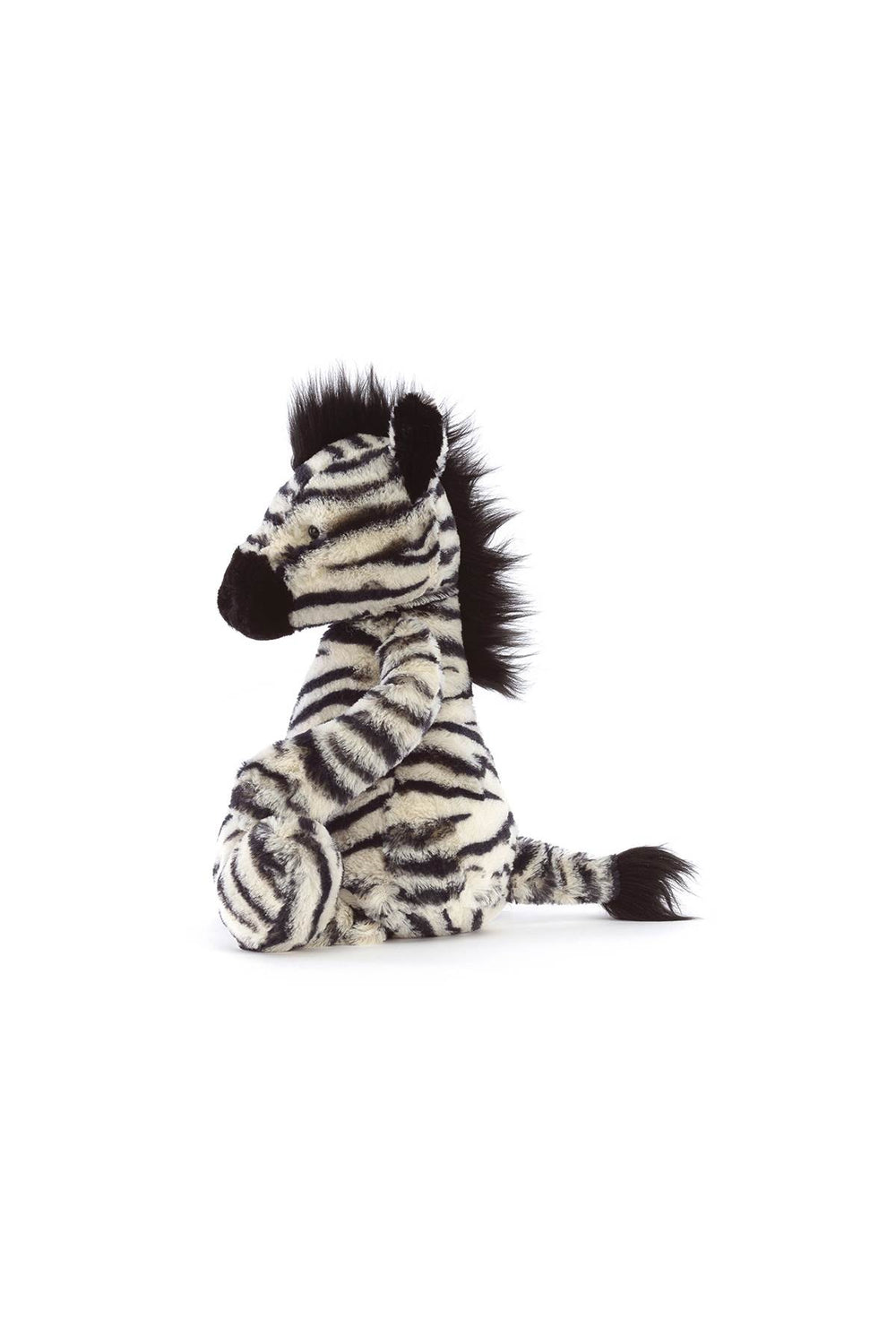 medium bashful zebra pl-1