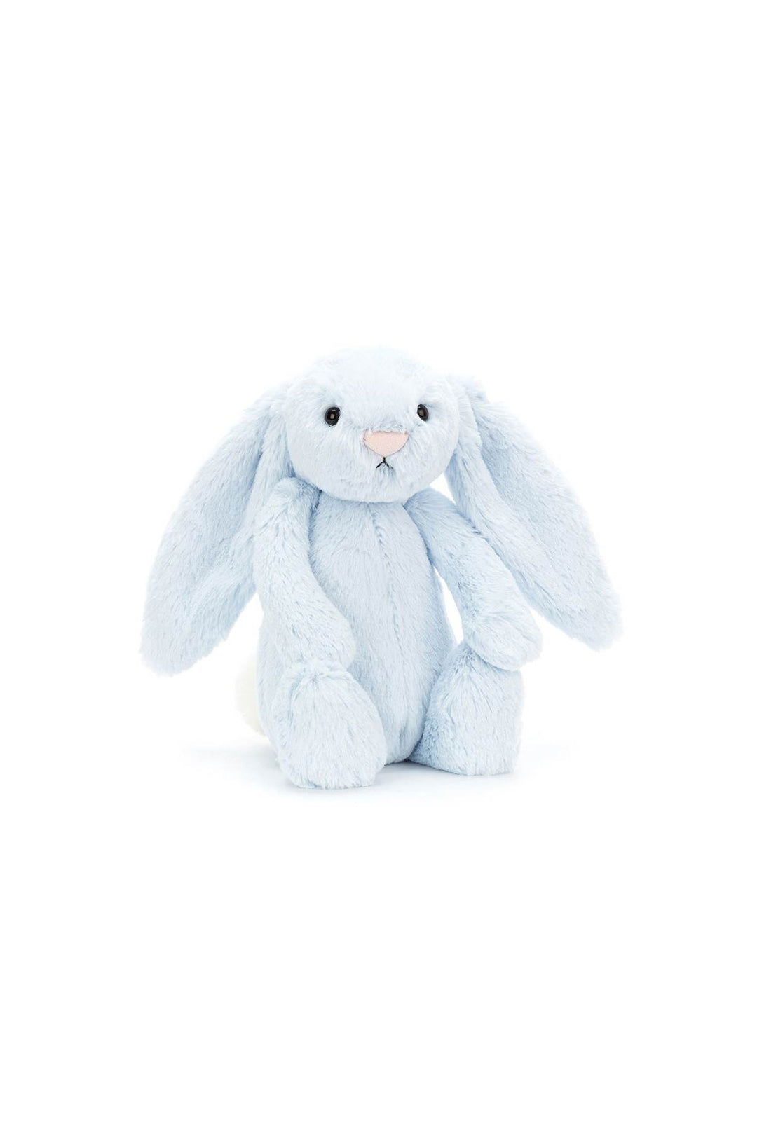 bashful blue bunny-0