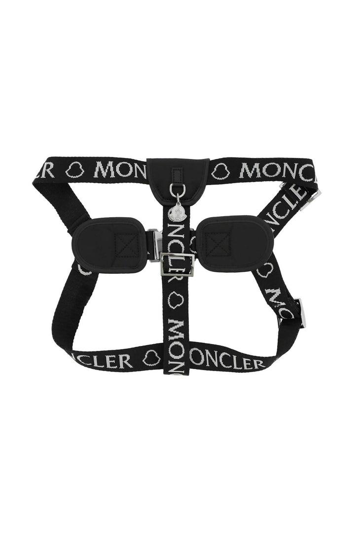 Moncler genius x poldo branded webbing harness-1