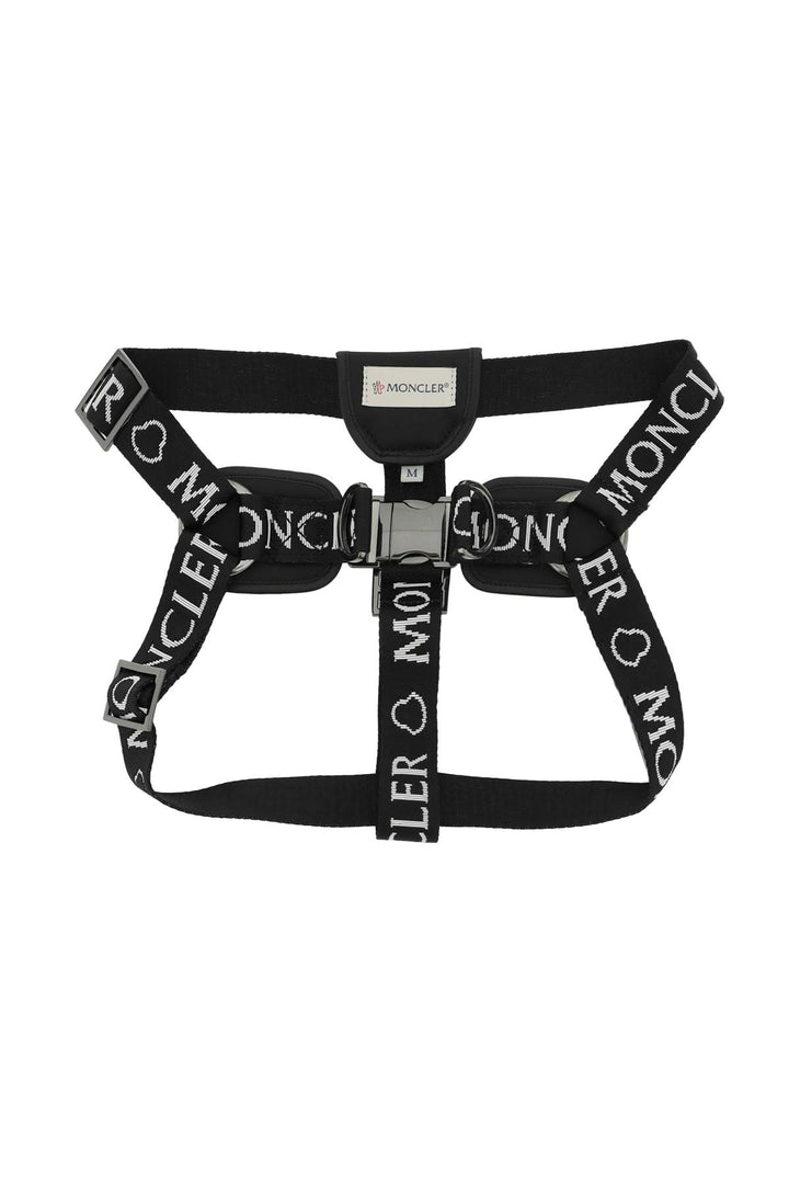 Moncler genius x poldo branded webbing harness-0