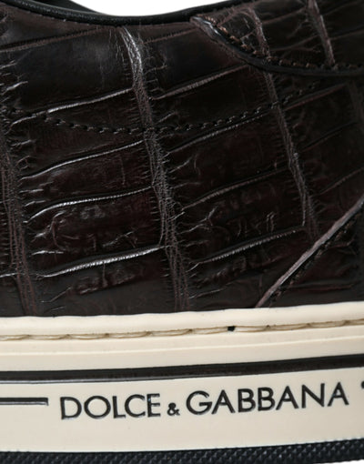 Dolce & Gabbana Brown Croc Exotic Leather Men Casual Sneakers Shoes