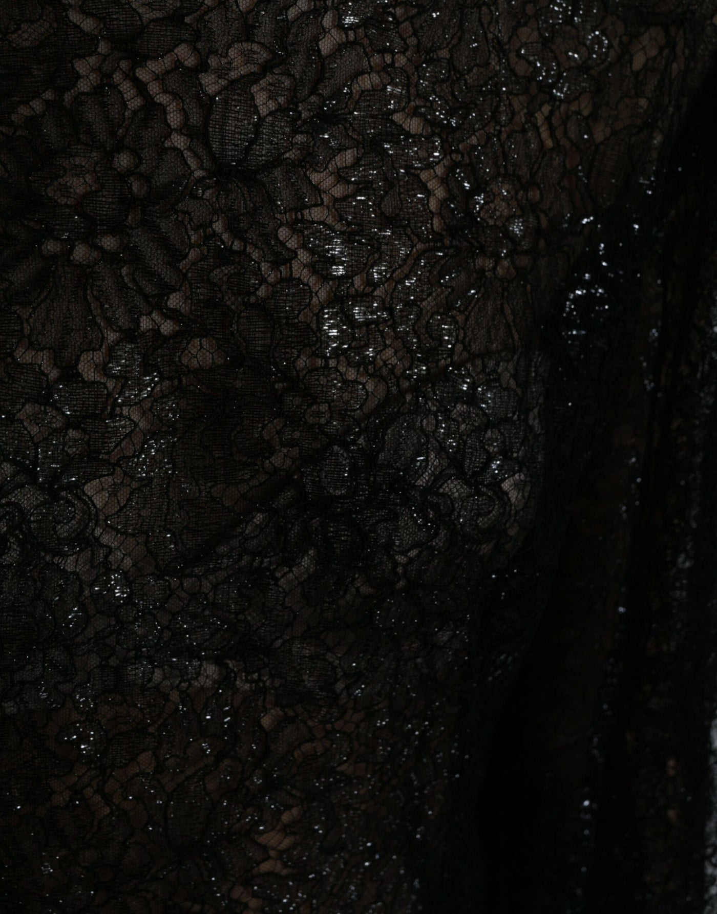 Dolce & Gabbana Black Floral Lace Sheer A-line Midi Dress