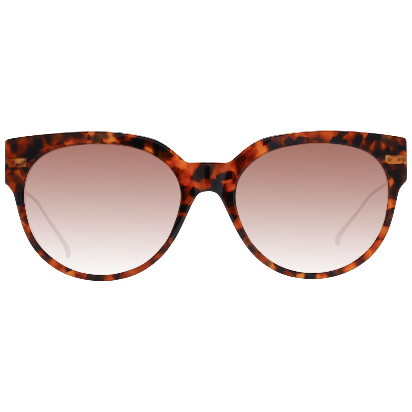 Scotch & Soda Brown Women Sunglasses