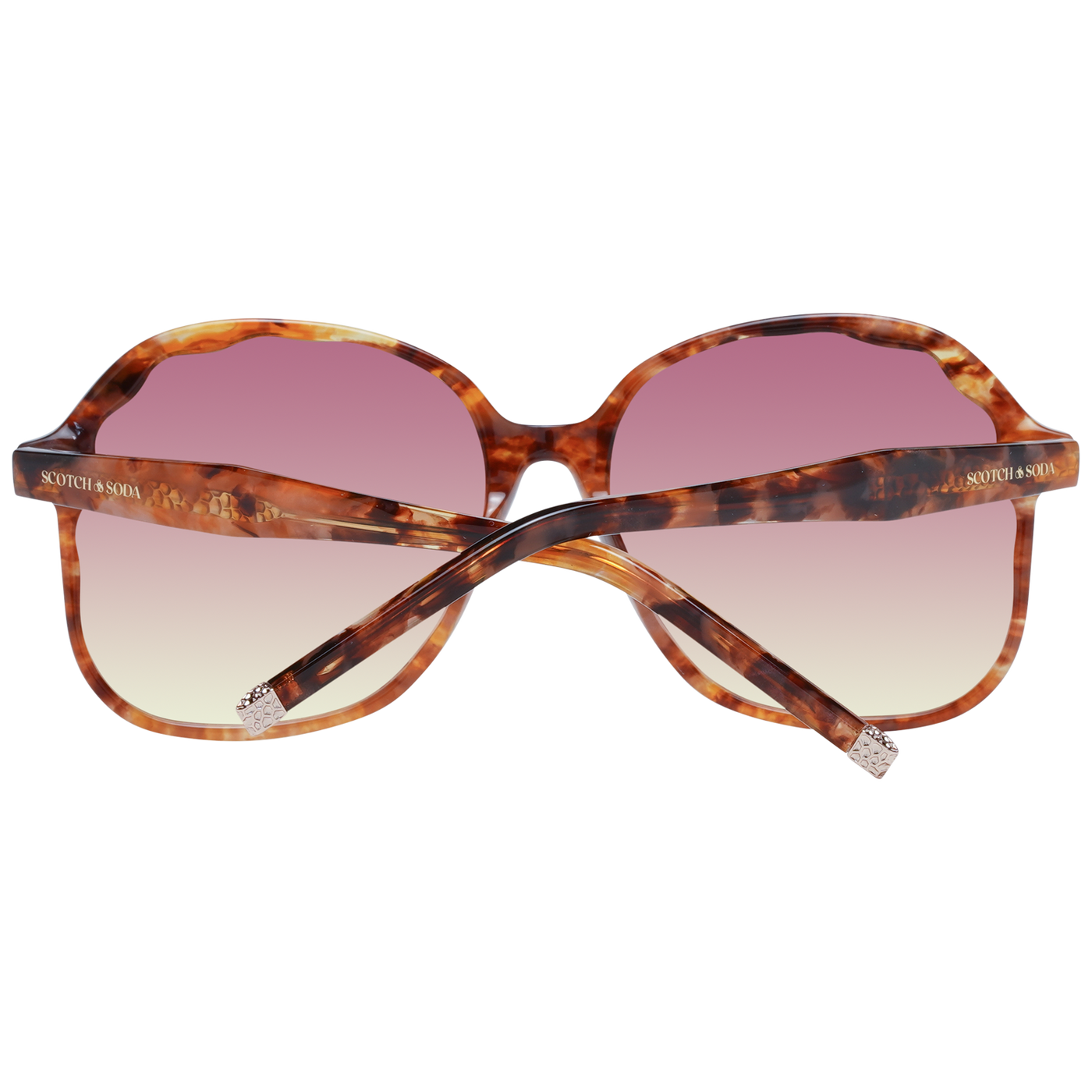 Scotch & Soda Brown Women Sunglasses