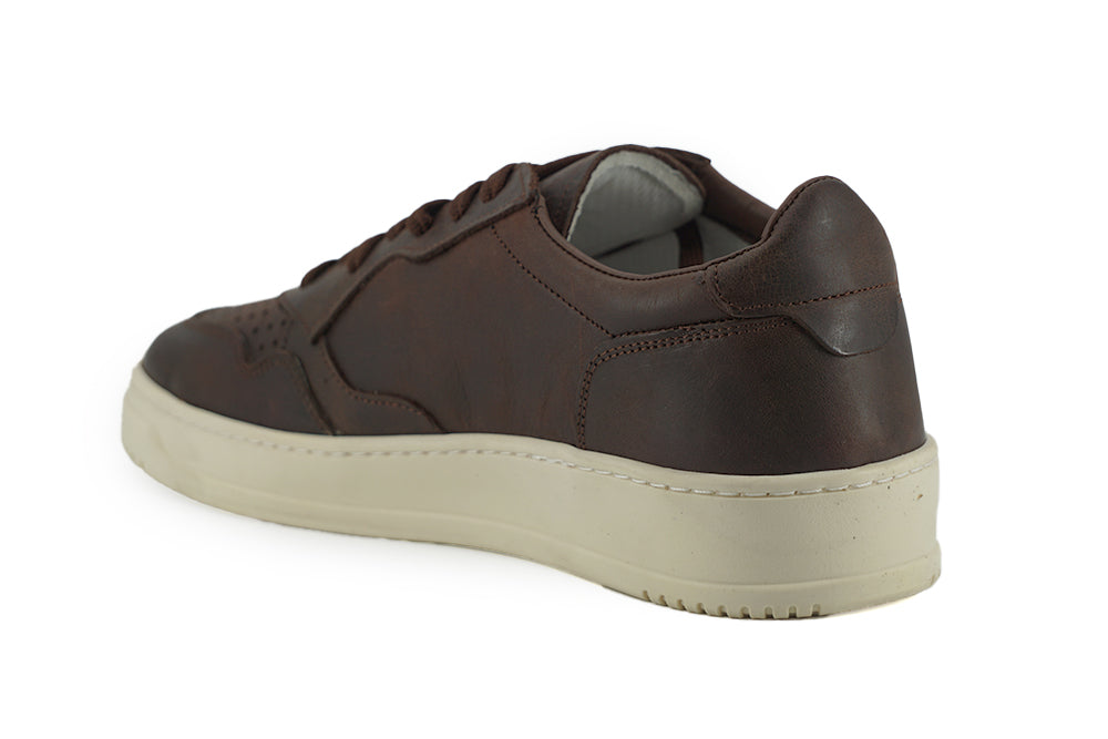 Saxone Of Scotland Brown Leather Low Top Sneakers