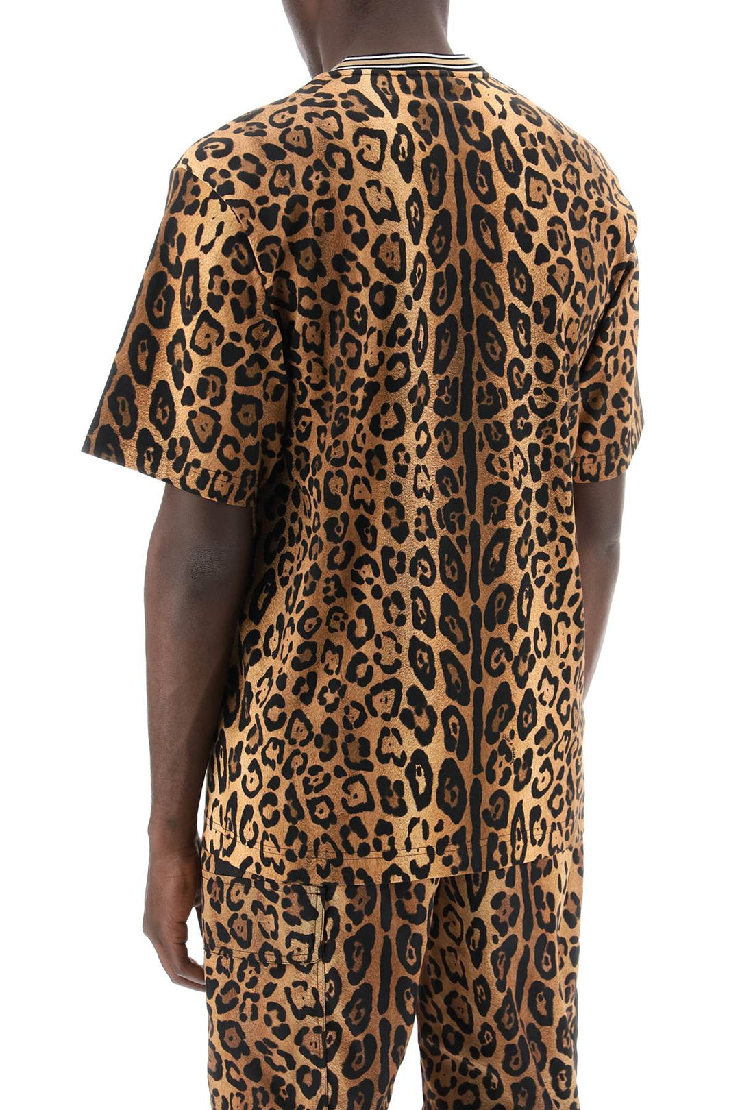 Dolce & gabbana leopard print t-shirt with-2
