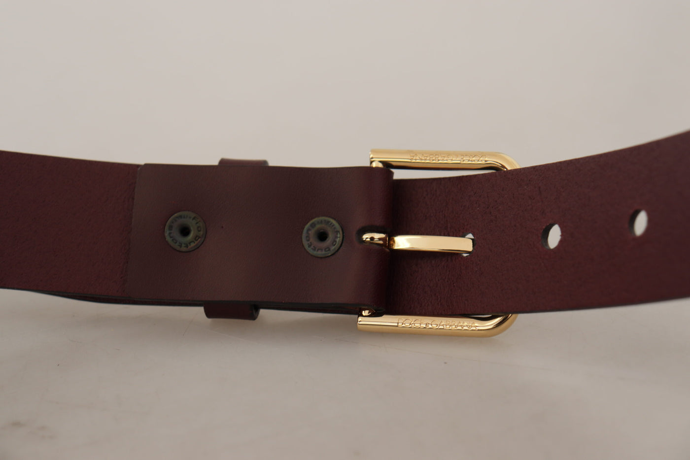 Dolce & gabbana Brown Calf Leather Gold Tone Metal Buckle Belt