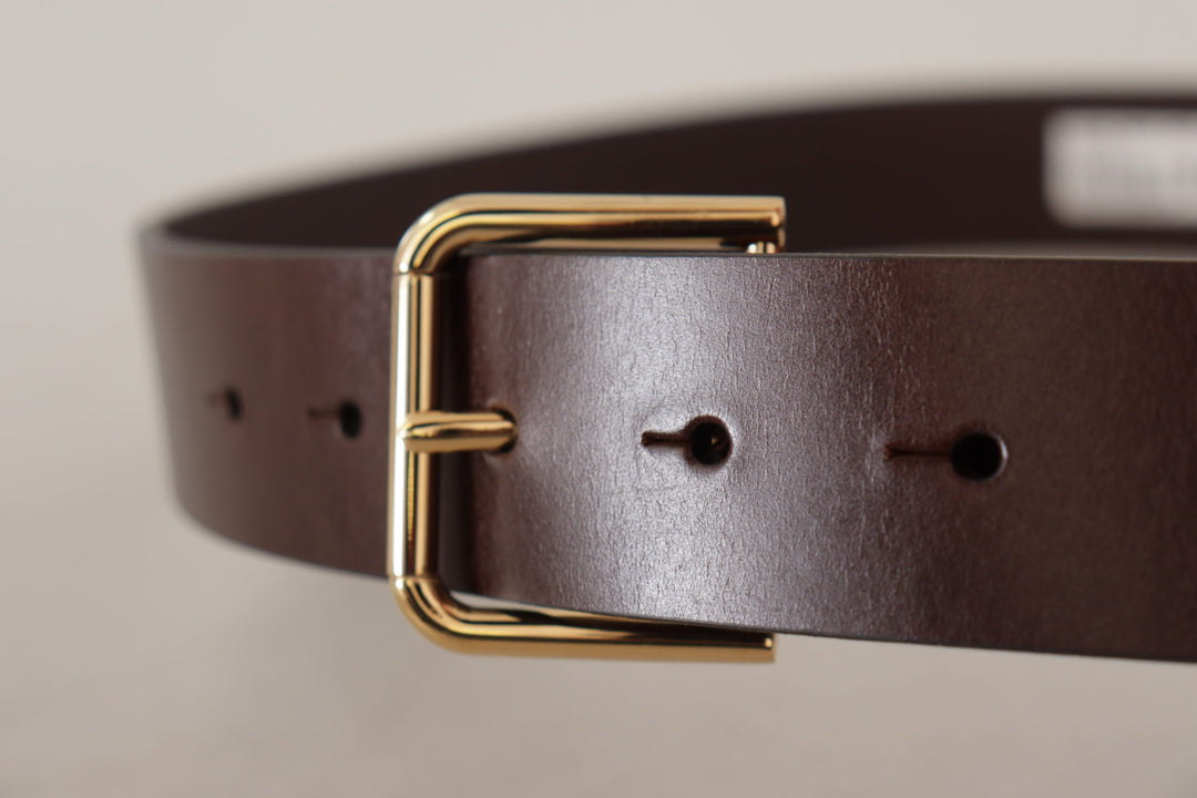 Dolce & gabbana Brown Plain Calf Leather Gold Tone Buckle Belt