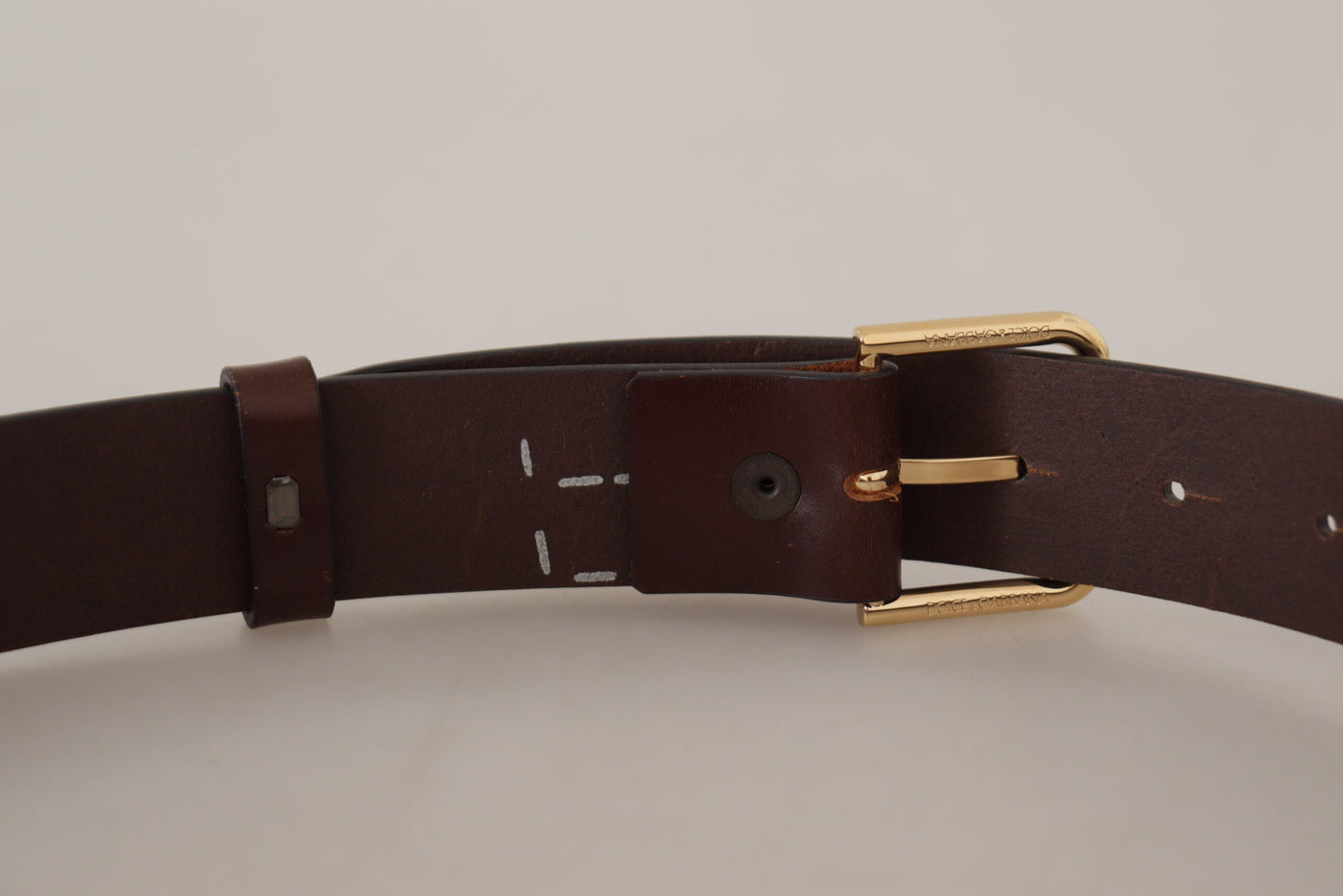 Dolce & gabbana Brown Plain Calf Leather Gold Tone Buckle Belt