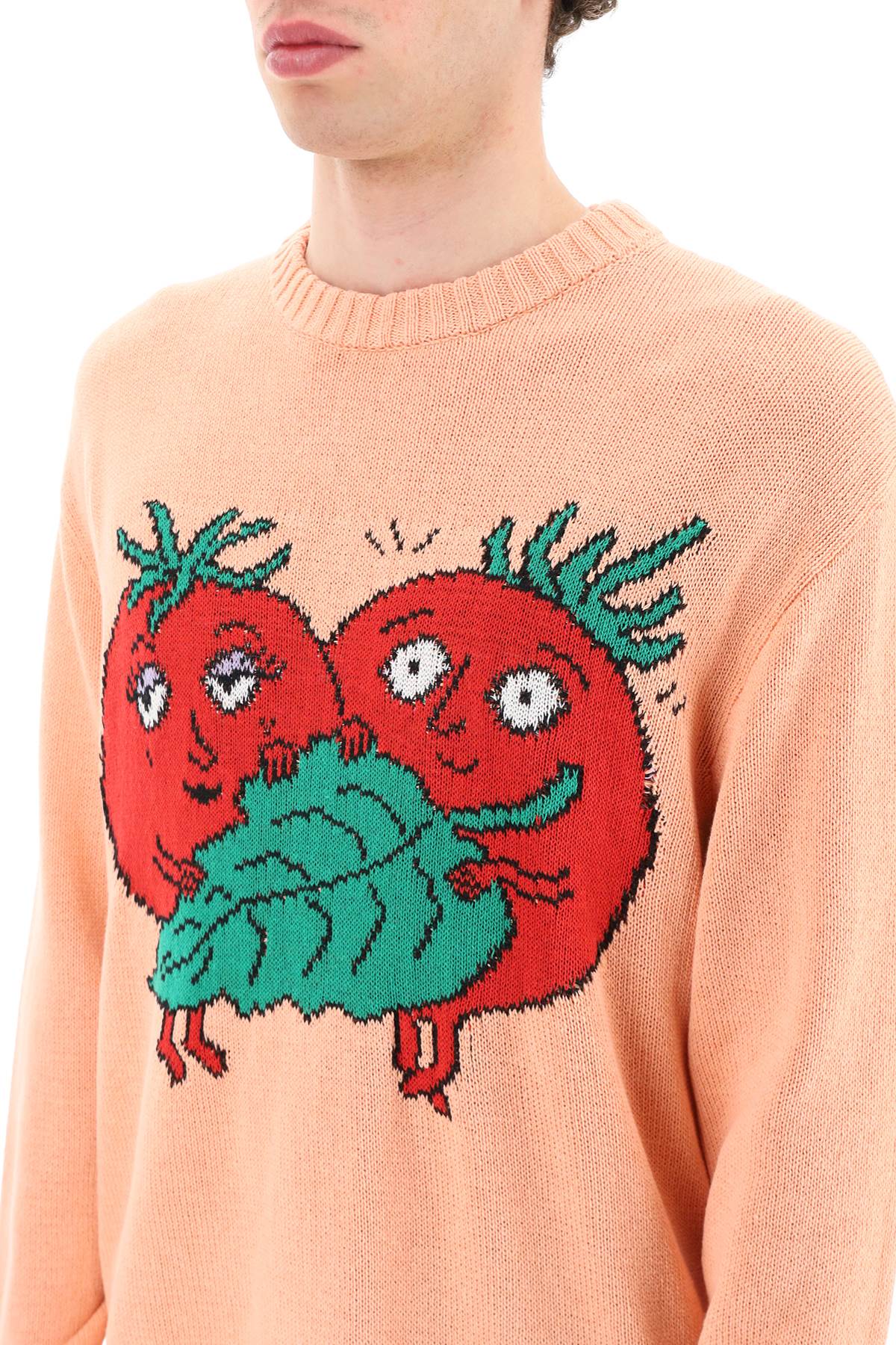 Sky high farm 'happy tomatoes' cotton sweater-3