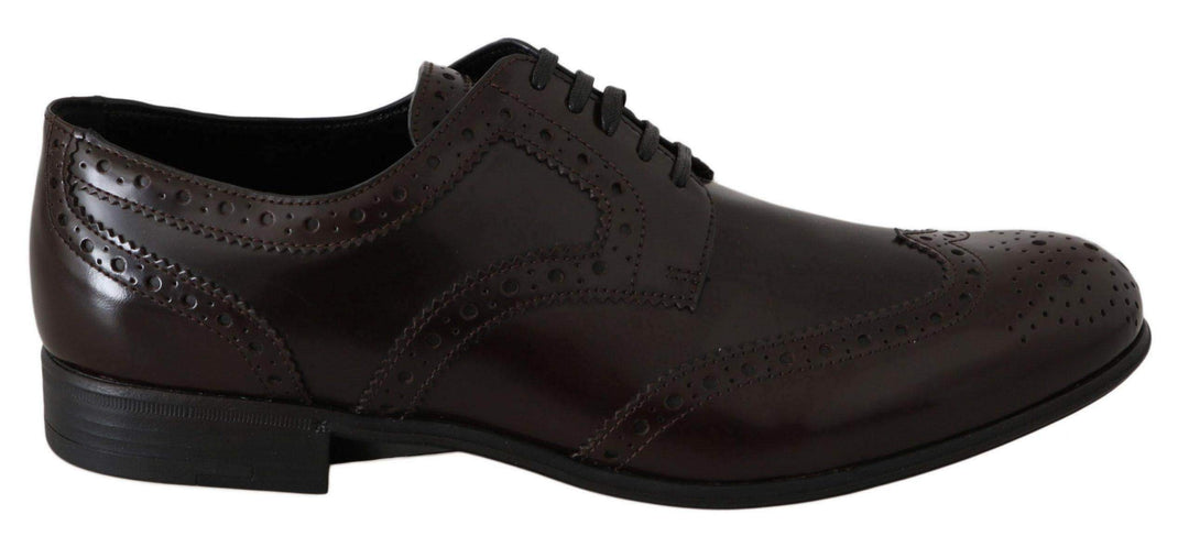 Dolce & Gabbana  Brown Leather Broques Oxford Wingtip Shoes #women, Boots - Women - Shoes, Brand_Dolce & Gabbana, Brown, Catch, Category_Shoes, Dolce & Gabbana, EU35.5/US5, EU36/US5.5, EU37.5/US7, EU37/US6.5, EU38.5/US8, EU40/US9.5, feed-agegroup-adult, feed-color-brown, feed-gender-female, feed-size-US5, feed-size-US5.5, feed-size-US6.5, feed-size-US7, feed-size-US9.5, Gender_Women, Kogan, Shoes - New Arrivals at SEYMAYKA