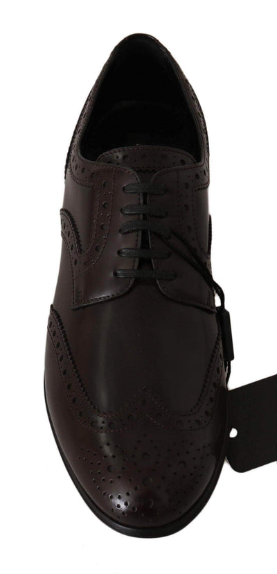 Dolce & Gabbana  Brown Leather Broques Oxford Wingtip Shoes #women, Boots - Women - Shoes, Brand_Dolce & Gabbana, Brown, Catch, Category_Shoes, Dolce & Gabbana, EU35.5/US5, EU36/US5.5, EU37.5/US7, EU37/US6.5, EU38.5/US8, EU40/US9.5, feed-agegroup-adult, feed-color-brown, feed-gender-female, feed-size-US5, feed-size-US5.5, feed-size-US6.5, feed-size-US7, feed-size-US9.5, Gender_Women, Kogan, Shoes - New Arrivals at SEYMAYKA