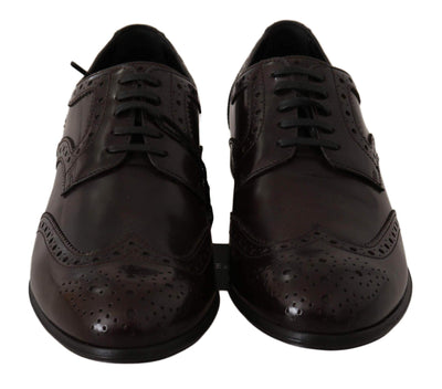 Dolce & Gabbana  Brown Leather Broques Oxford Wingtip Shoes #women, Boots - Women - Shoes, Brand_Dolce & Gabbana, Brown, Catch, Category_Shoes, Dolce & Gabbana, EU35.5/US5, EU36/US5.5, EU37.5/US7, EU37/US6.5, EU38.5/US8, EU40/US9.5, feed-agegroup-adult, feed-color-brown, feed-gender-female, feed-size-US5, feed-size-US5.5, feed-size-US6.5, feed-size-US7, feed-size-US9.5, Gender_Women, Kogan, Shoes - New Arrivals at SEYMAYKA