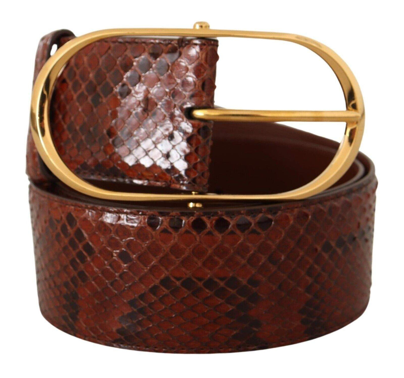Dolce & Gabbana Brown Exotic Leather Gold Oval Buckle Belt 70 cm / 28 Inches, Belts - Women - Accessories, Brown, Dolce & Gabbana, feed-1 at SEYMAYKA