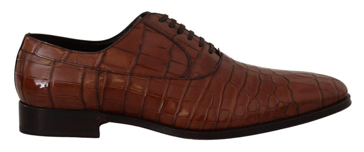 Dolce & Gabbana Brown Crocodile Leather  Formal Derby Shoes #men, Brown, Dolce & Gabbana, EU44/US11, feed-1, Formal - Men - Shoes at SEYMAYKA