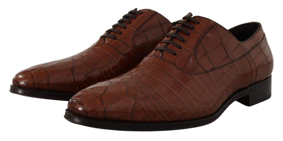 Dolce & Gabbana Brown Crocodile Leather  Formal Derby Shoes #men, Brown, Dolce & Gabbana, EU44/US11, feed-1, Formal - Men - Shoes at SEYMAYKA