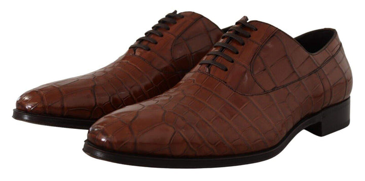 Dolce & Gabbana Brown Crocodile Leather  Formal Derby Shoes #men, Brown, Dolce & Gabbana, EU44/US11, feed-1, Formal - Men - Shoes at SEYMAYKA