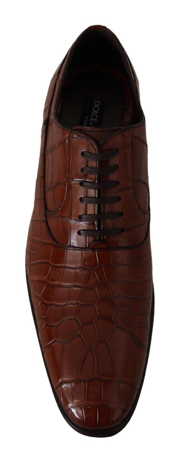 Dolce & Gabbana Brown Crocodile Leather  Formal Derby Shoes #men, Brown, Dolce & Gabbana, EU44/US11, feed-1, Formal - Men - Shoes at SEYMAYKA