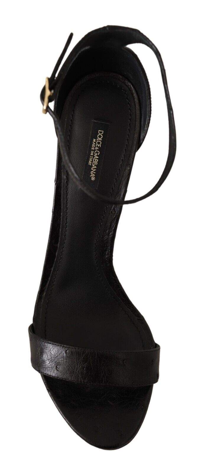 Dolce & Gabbana Black Ostrich Ankle Strap Heels Sandals Shoes Black, Dolce & Gabbana, EU41/US10.5, feed-1, Sandals - Women - Shoes at SEYMAYKA